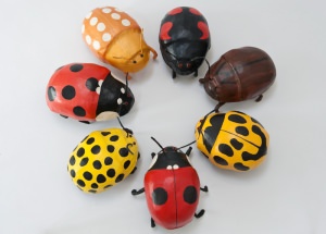 seven smaller ladybirds in a circle