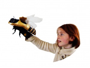 Bee on hand image