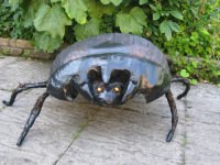 Minotaur dung beetle photo